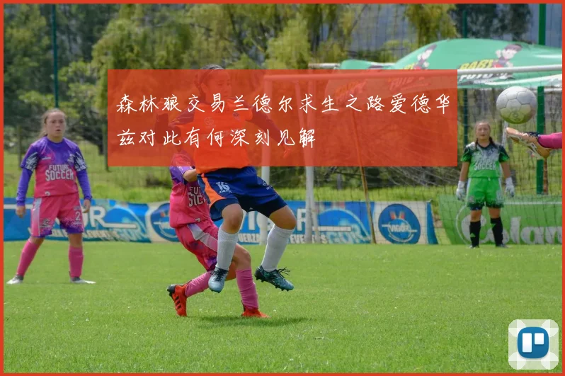 森林狼交易兰德尔求生之路爱德华兹对此有何深刻见解